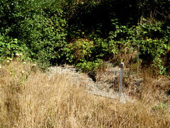 Wilson Creek monitoring site during the dry season. 
